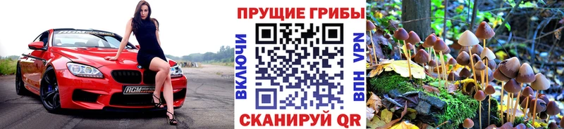 где продают наркотики  Калуга  Галлюциногенные грибы Psilocybine cubensis 