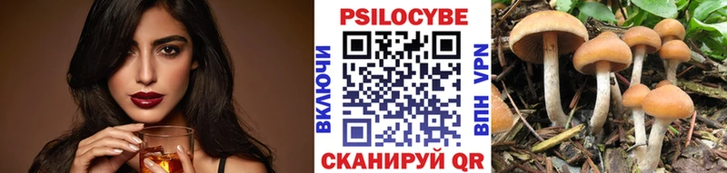 Псилоцибиновые грибы Cubensis Калуга