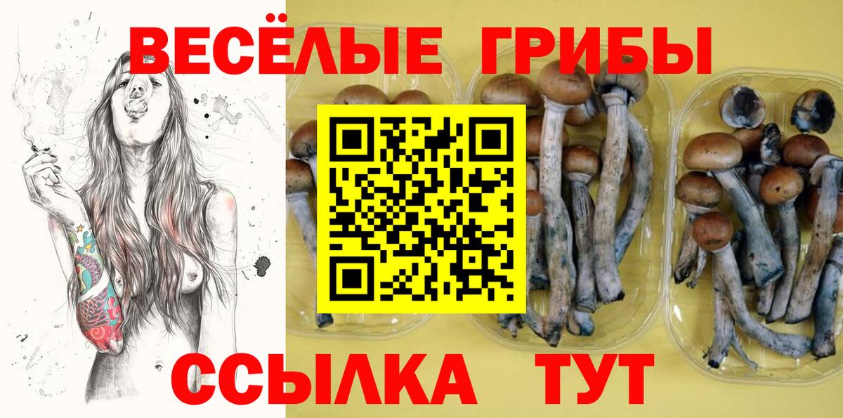 Псилоцибиновые грибы Psilocybine cubensis  Псилоцибиновые грибы мухоморы  Калуга 