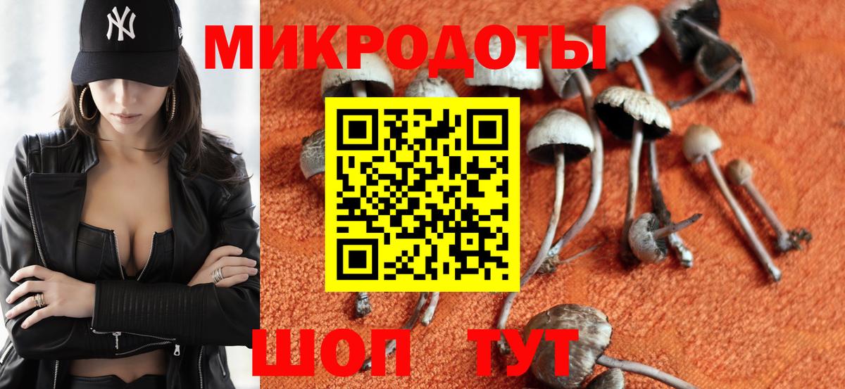 Псилоцибиновые грибы GOLDEN TEACHER Калуга