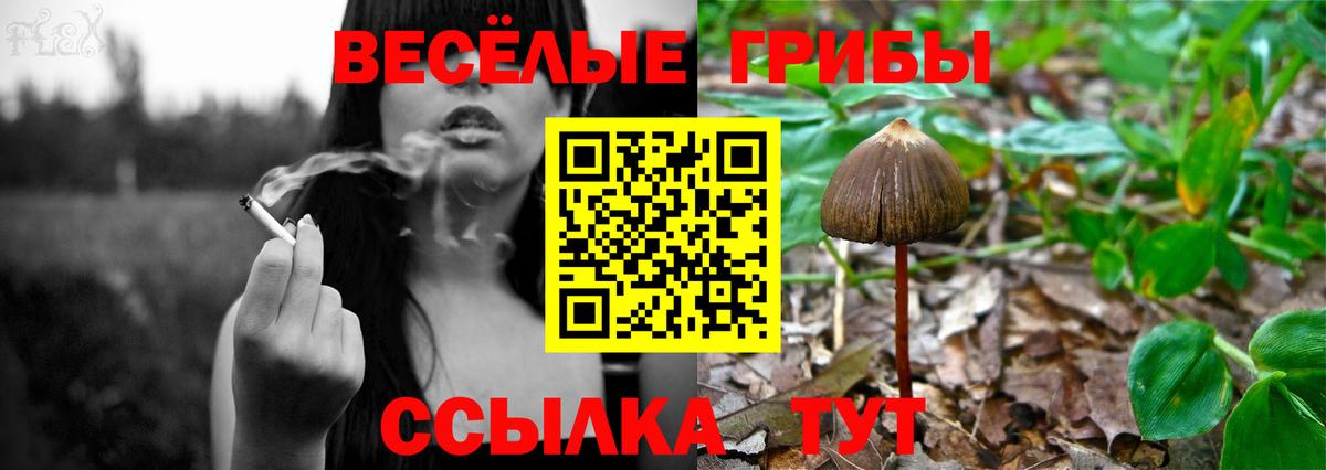 Галлюциногенные грибы мицелий Калуга