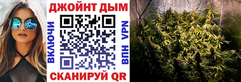 Конопля гибрид  Калуга 